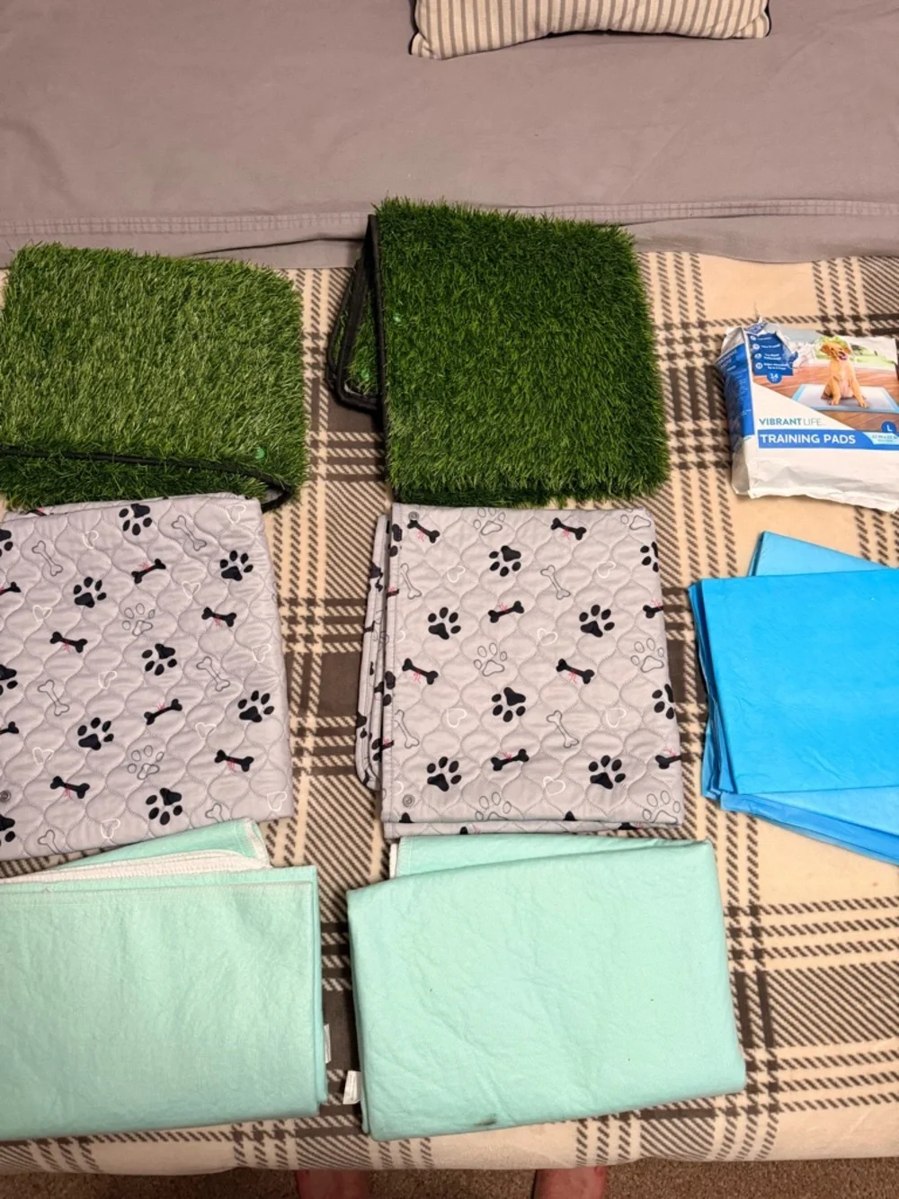 Puppy Training Set